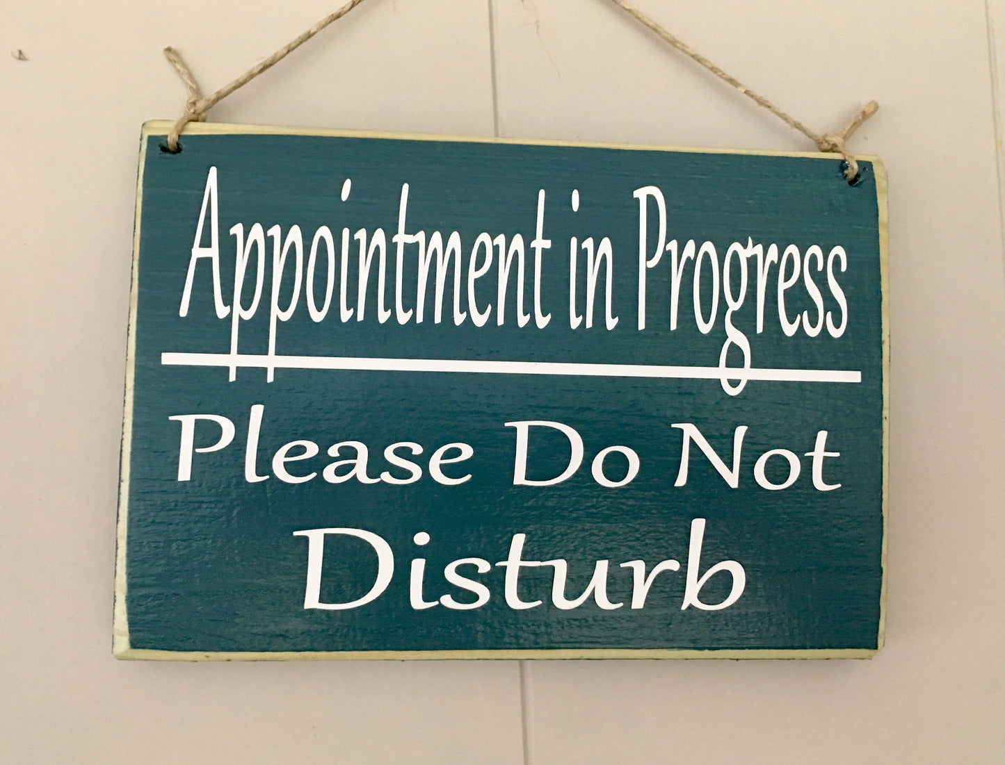 Appointment In Progress Please Do Not Disturb Custom Wood Office Spa Salon Service Treatment Business Sign