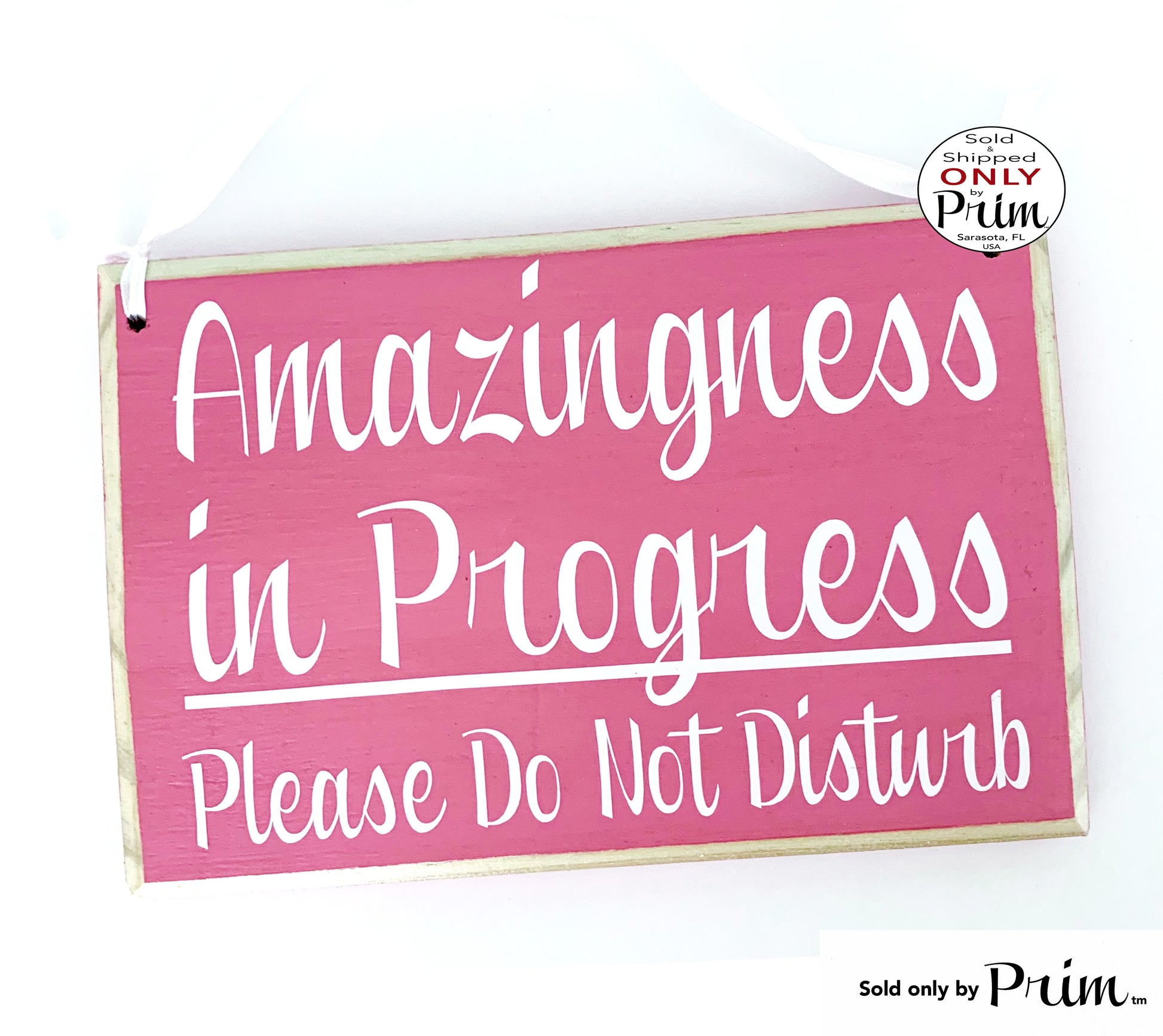 Designs by Prim 8x6 Amazingness in Progress Please Do Not Disturb Custom Wood Sign Focus Time Work Progress Home Office Working Busy Session Door Plaque