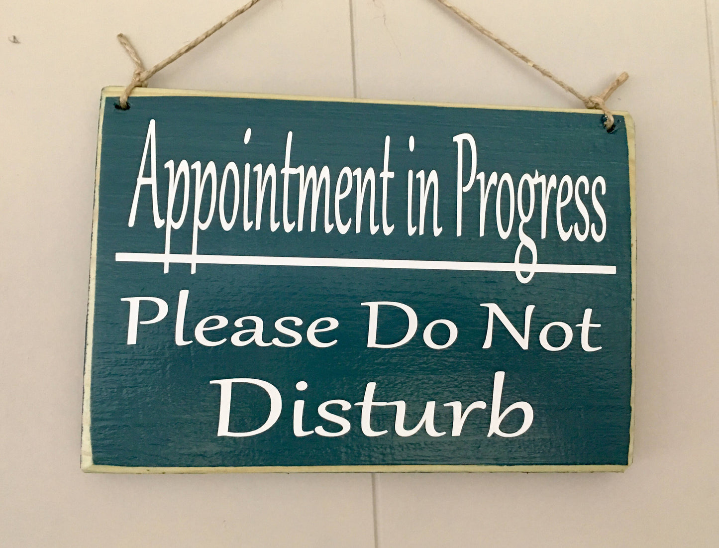 Appointment In Progress Please Do Not Disturb Custom Wood Office Spa Salon Service Treatment Business Sign