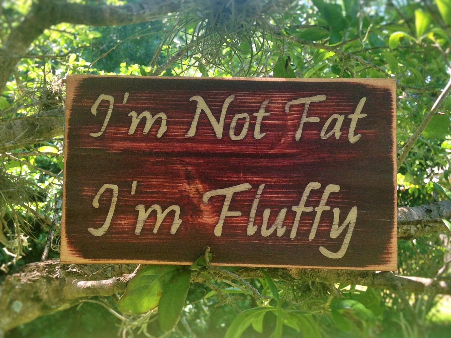 Funny I'm Not Fat I'm Fluffy Custom Wood Sign Handmade Humor 