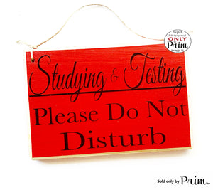 8x6 Studying & Testing Please Do Not Disturb Custom Wood Sign Teacher School Progress Students Class In Session Silence Quiet Door Plaque Designs by Prim