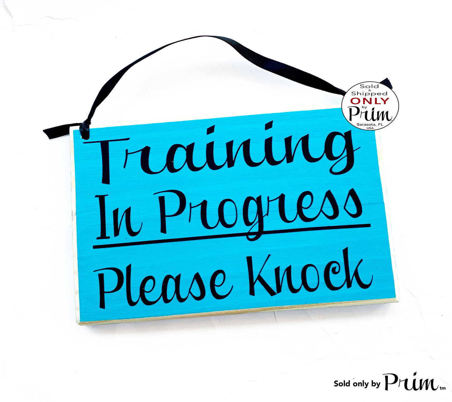 8x6 Training In Progress Please Knock Custom Wood Sign | Do Not Disturb Office Teacher School Testing Silence Quiet Soft Voices Door Plaque