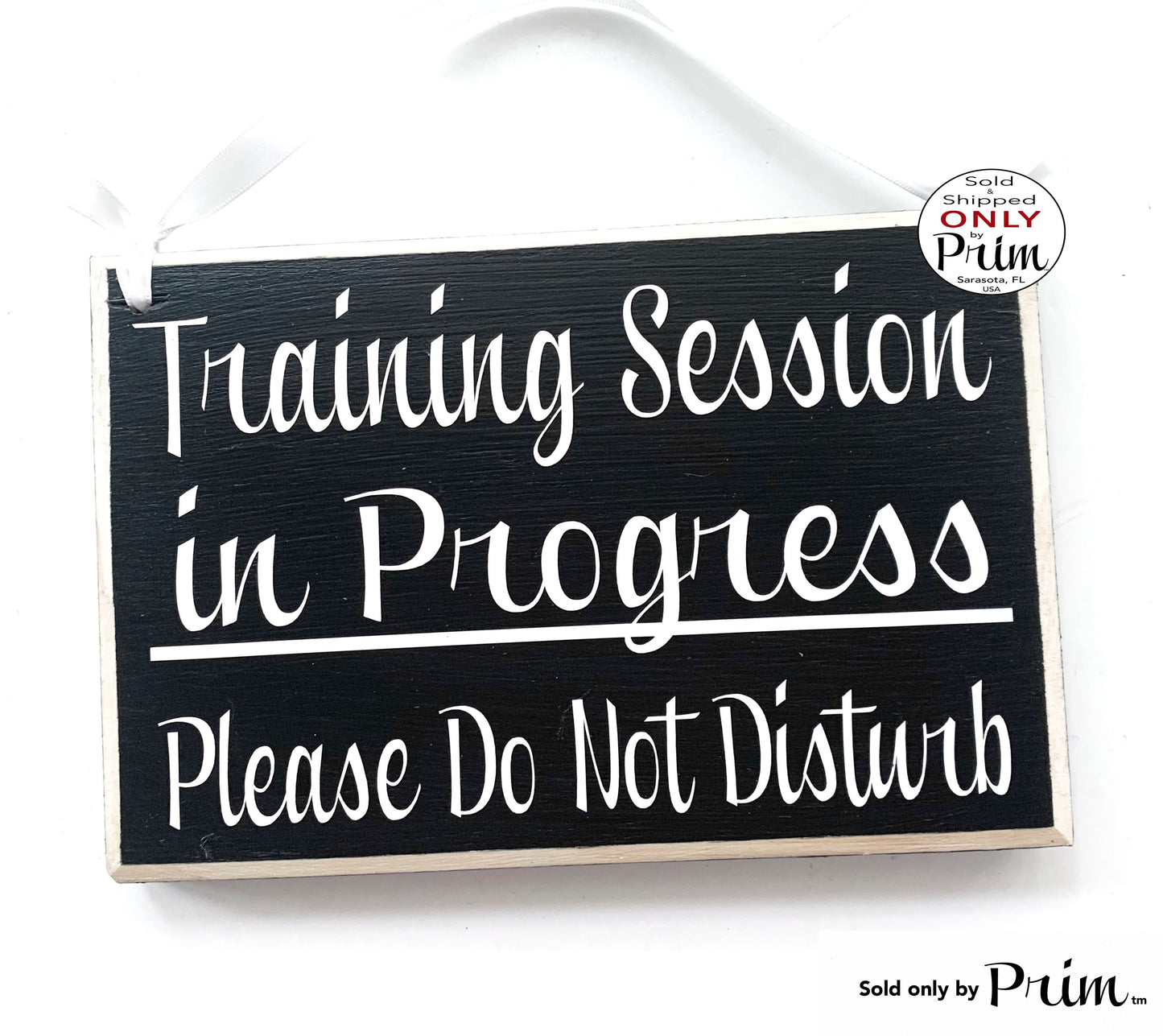 8x6 Training Session In Progress Please Do Not Disturb Custom Wood Sign Office Teacher School Testing Silence Quiet Soft Voices Door Plaque Designs by Prim
